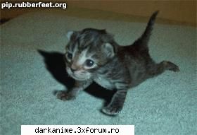 Funny pics - hm vad ca nu merge :( in fine facea niste - Fun
