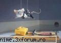 Funny pics - hmm cred ca e prea mica :( - Fun