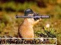 Funny pics - Pisoiash - Fun