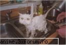 take that! :limba: funny pics