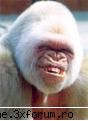 Funny pics - Bloddy_Lioness - Fun