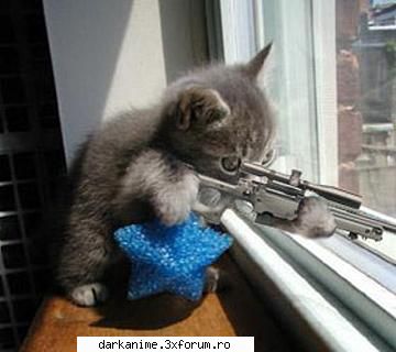 Funny pics - damn........i forgot the pic......sry - Fun