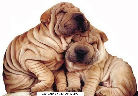 Funny pics - inca cineva pe aici - Fun