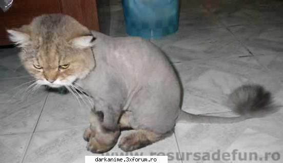 Funny pics - ce suparata suntem - Fun