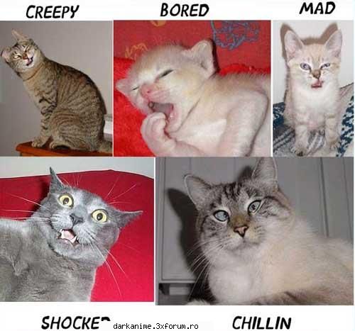 Funny pics - funny funny, dar ce izci de asta - Fun