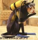 Funny pics - uytazty una hazlie - Fun
