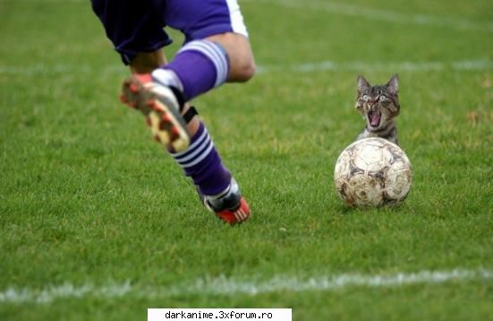 Funny pics - anakagome - Fun