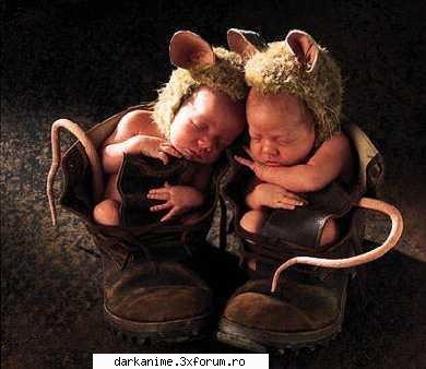 Funny pics - anakagome - Fun