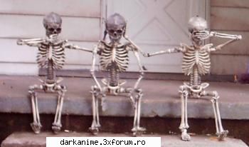 Funny pics - asta e ,parca asta era cu maimute nu? - Fun