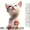 Funny pics - roka - Fun