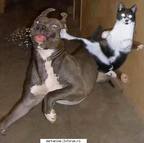 Funny pics - eh...slabutz :D - Fun