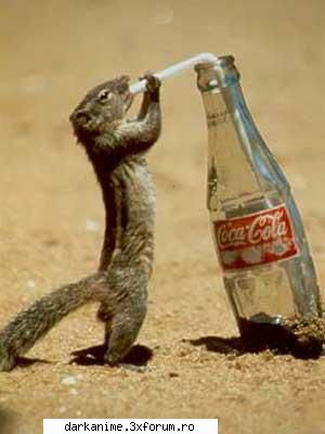 Funny pics - Always coca-cola - Fun