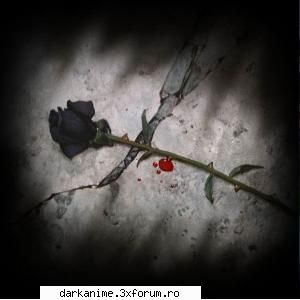 horror and bloody pics mitsuko scris:nu foarte bloodye din elfen liede misto scena...i saw Night angel WebMaster