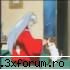 Inuyasha - Pai cred ca Inu ar castiga......nu ai vazut ce-i - Filme,seriale anime!