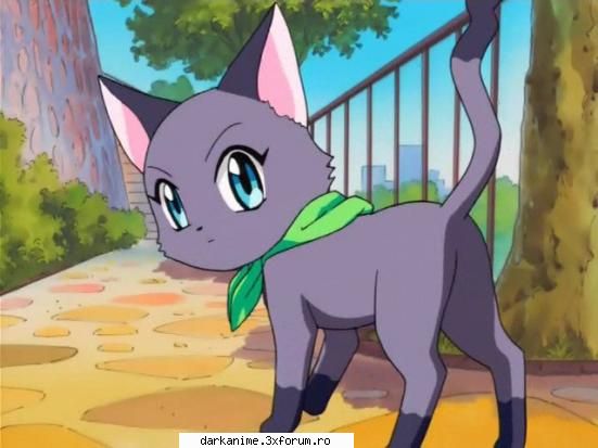 MEW MEW POWER! - mai pun si eu some pictures...nu stiu dak se - Pictures Galery