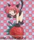 MEW MEW POWER! - asta mi se pare amuzanta - Pictures Galery