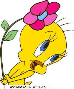 Pddm - thanks pddm loves Tweety - Fun