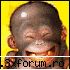 Stupid questions - SORRY D OFFTOPIC MHA... SIGUR DOAR 1%?PARK E PREA - Fun