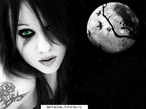 fazan in engleza - DarkVampire - Fun
